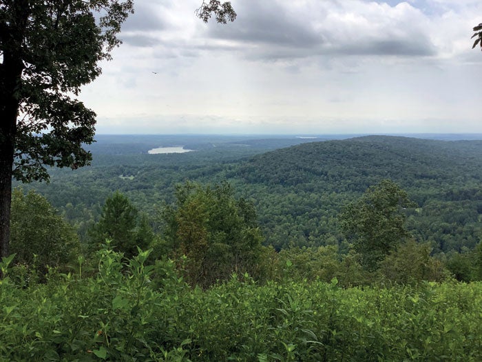 David Freeze: More state parks in the Piedmont region – The Stanly News & Press