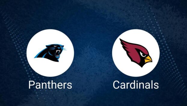 Panthers vs. Cardinals Predictions & Picks: Odds, Moneyline, Spread - Week 16